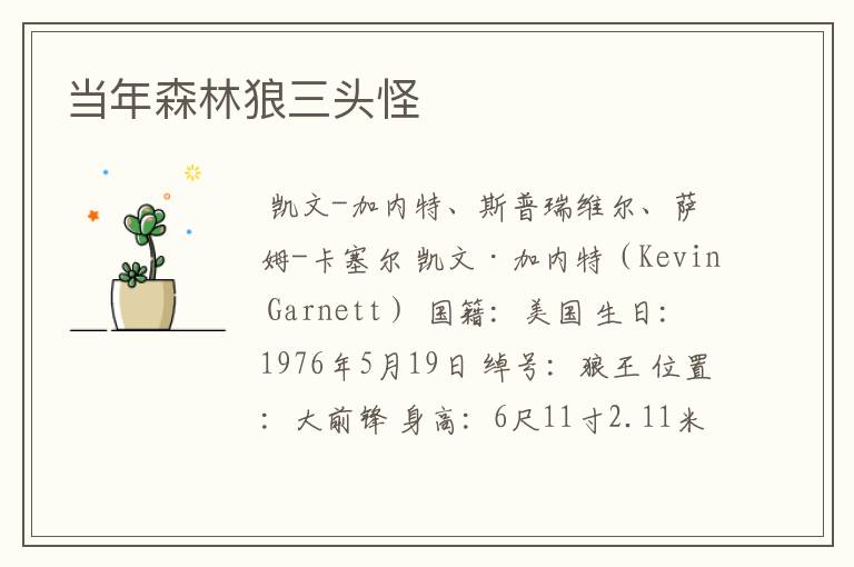 当年森林狼三头怪