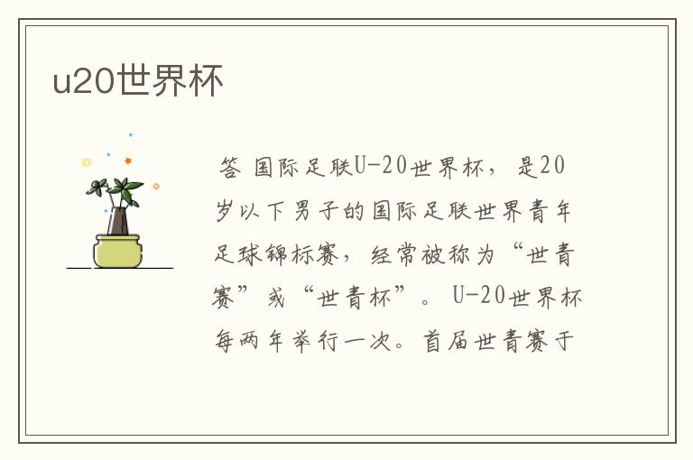 u20世界杯