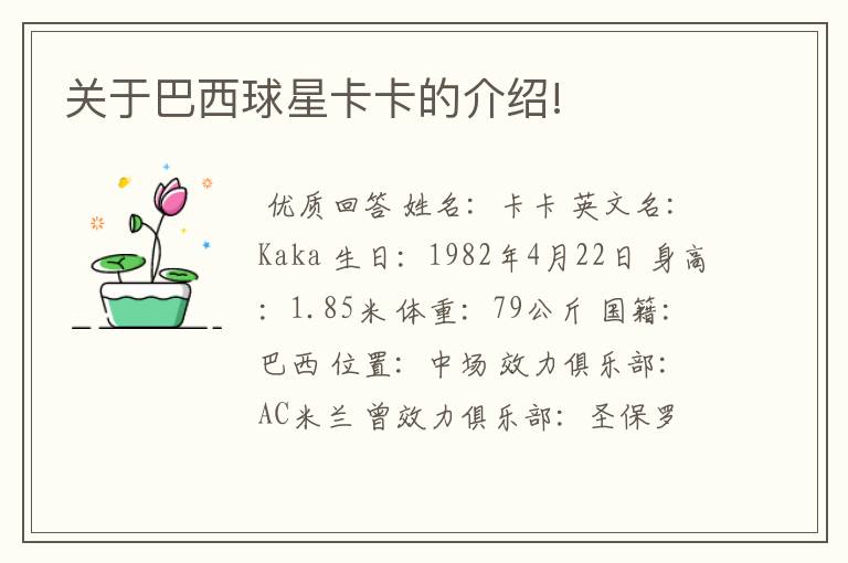 关于巴西球星卡卡的介绍!