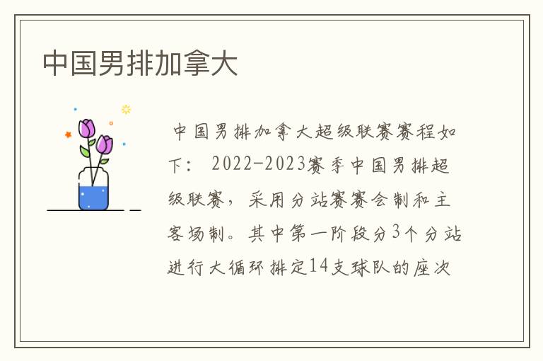 中国男排加拿大