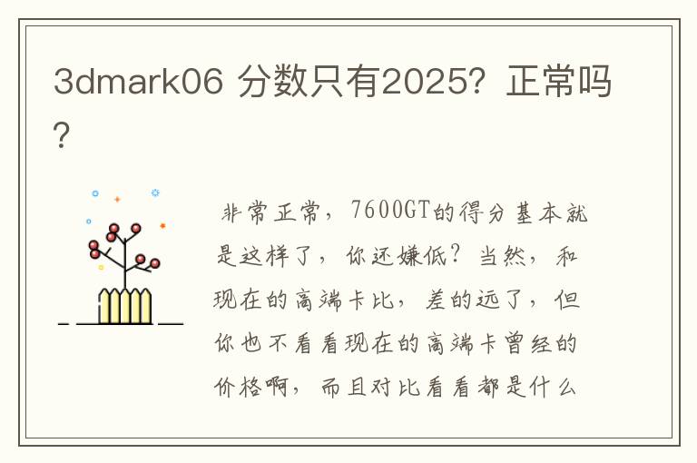 3dmark06 分数只有2025?正常吗?