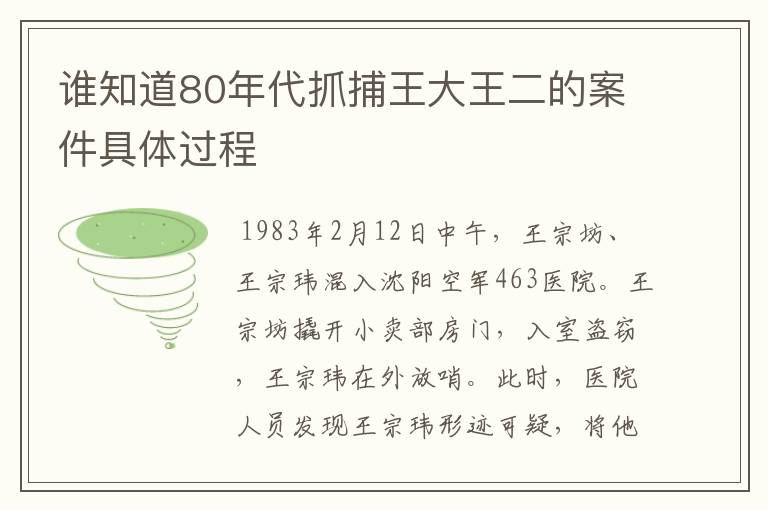 谁知道80年代抓捕王大王二的案件具体过程