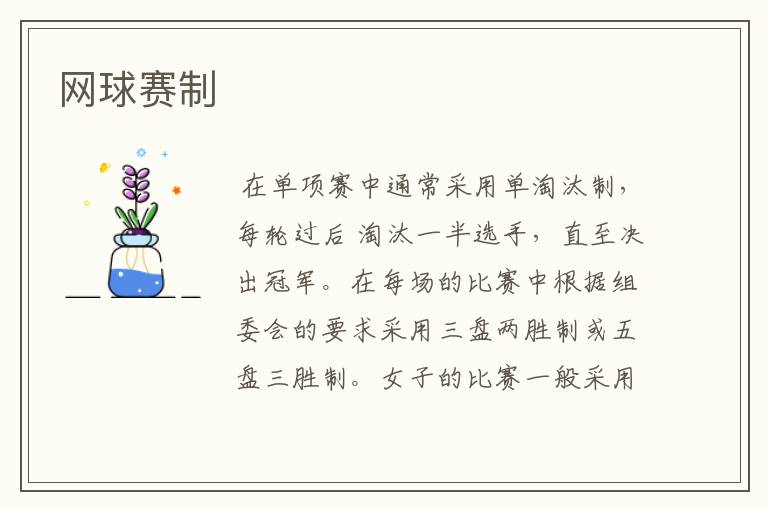 网球赛制
