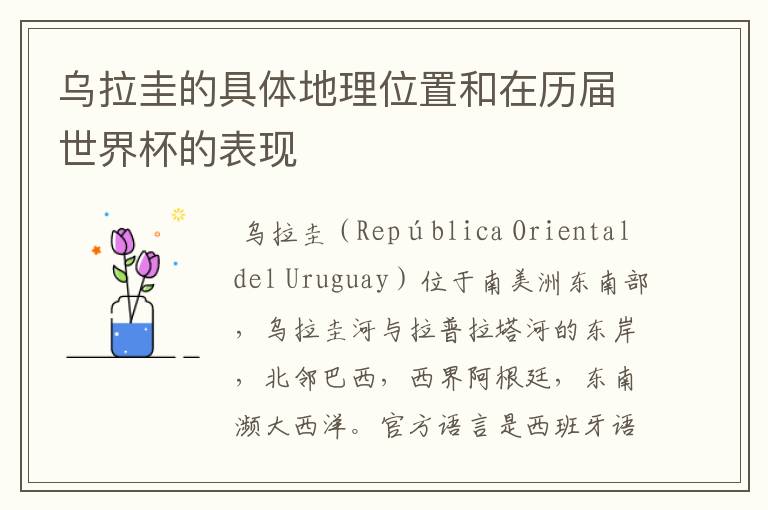 乌拉圭的具体地理位置和在历届世界杯的表现