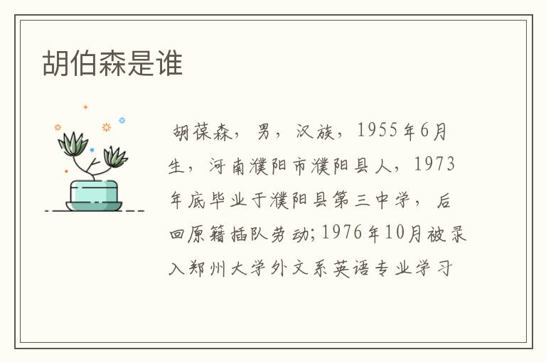胡伯森是谁