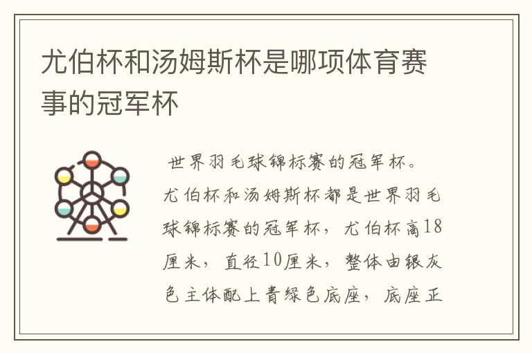尤伯杯和汤姆斯杯是哪项体育赛事的冠军杯