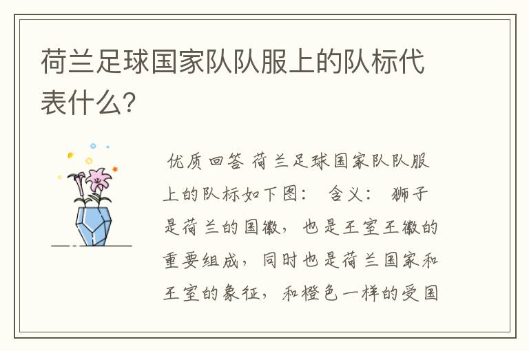 荷兰足球国家队队服上的队标代表什么?