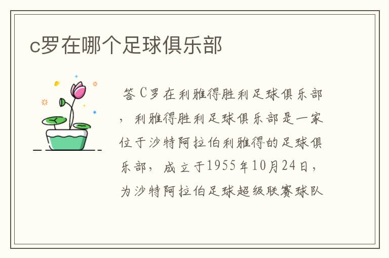 c罗在哪个足球俱乐部