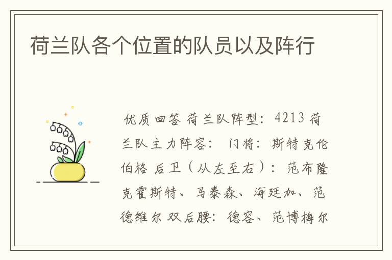 荷兰队各个位置的队员以及阵行