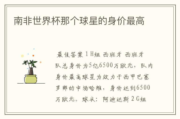 南非世界杯那个球星的身价最高