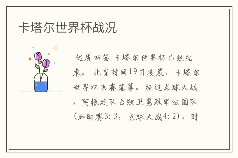 卡塔尔世界杯战况