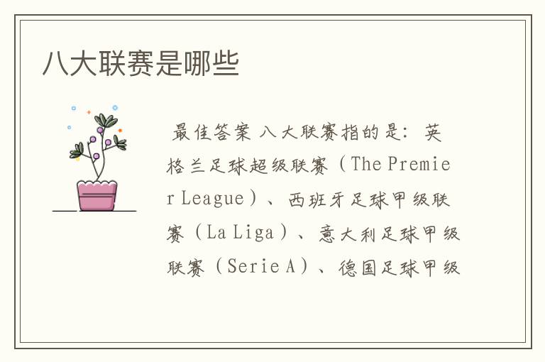 八大联赛是哪些