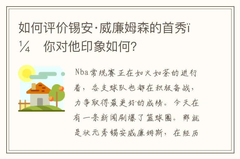 如何评价锡安·威廉姆森的首秀,你对他印象如何?