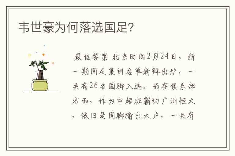 韦世豪为何落选国足?
