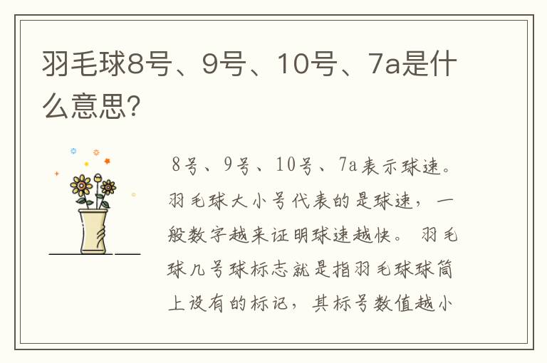 羽毛球8号、9号、10号、7a是什么意思?