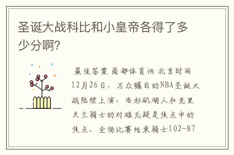 圣诞大战科比和小皇帝各得了多少分啊?