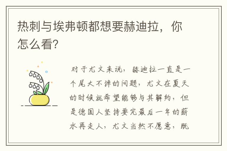 热刺与埃弗顿都想要赫迪拉,你怎么看?