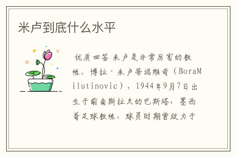 米卢到底什么水平