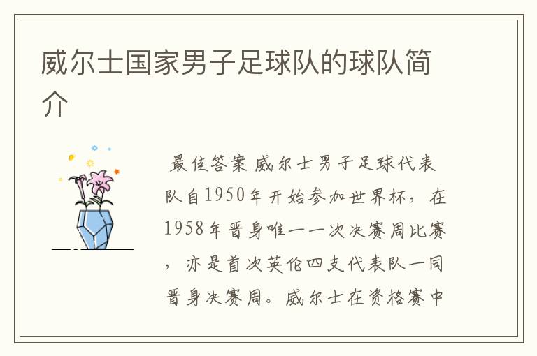 威尔士国家男子足球队的球队简介