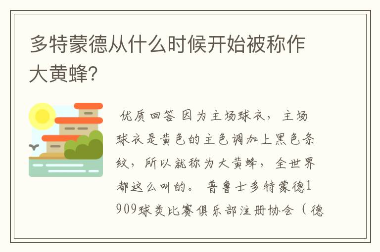 多特蒙德从什么时候开始被称作大黄蜂?