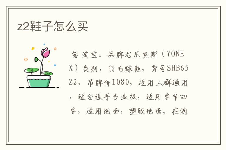 z2鞋子怎么买