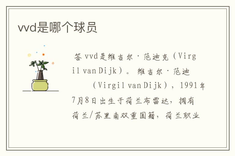 vvd是哪个球员