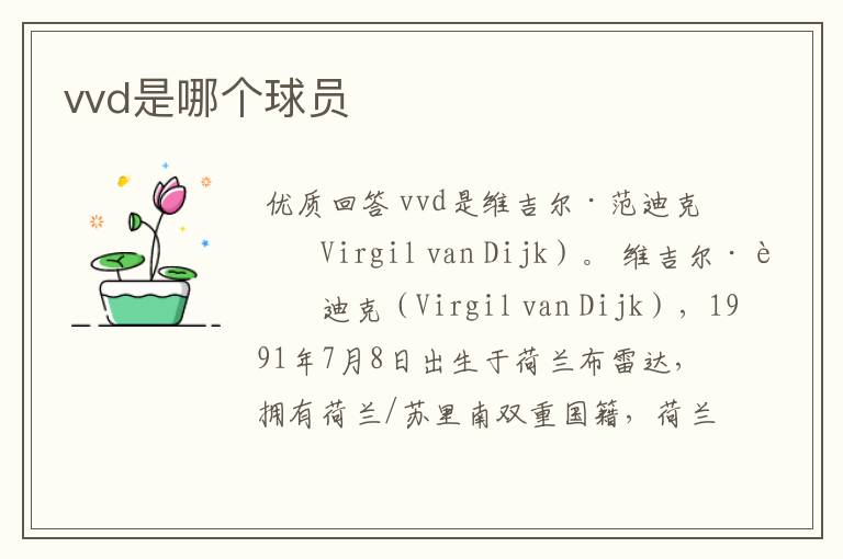 vvd是哪个球员