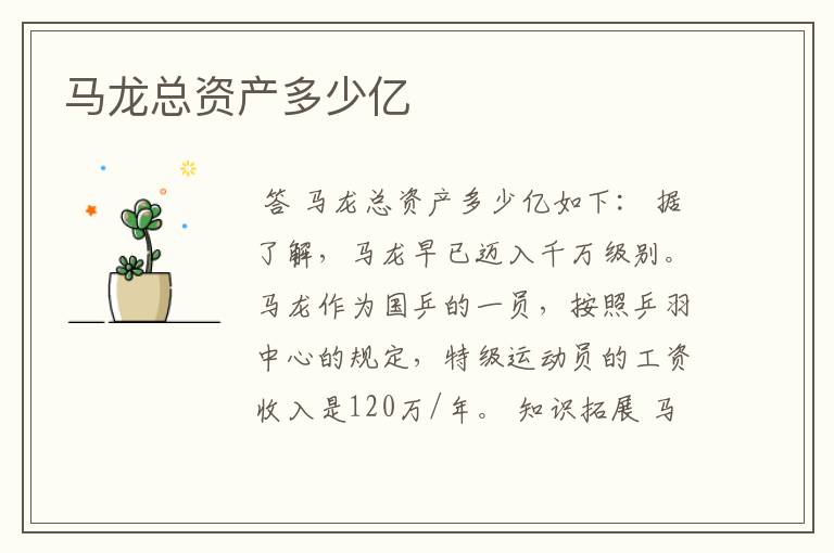 马龙总资产多少亿
