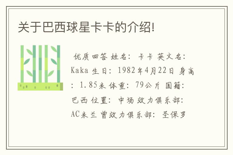 关于巴西球星卡卡的介绍!