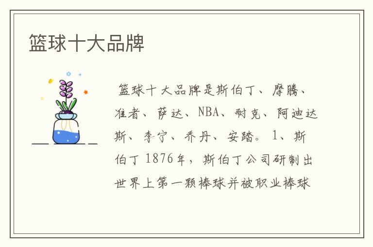 篮球十大品牌
