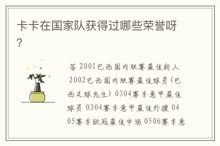 卡卡在国家队获得过哪些荣誉呀？