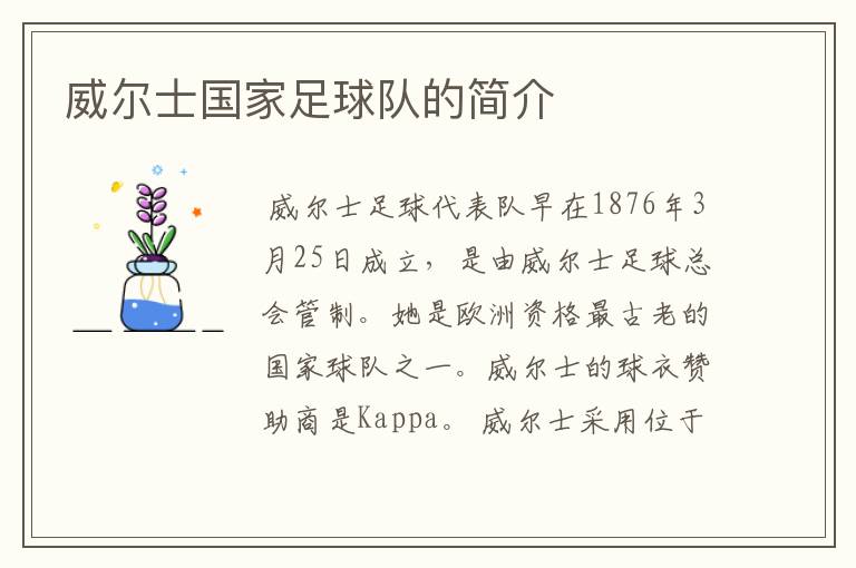 威尔士国家足球队的简介