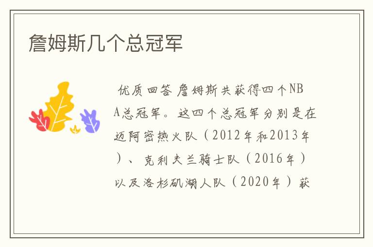 詹姆斯几个总冠军