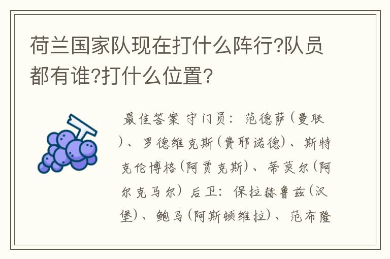 荷兰国家队现在打什么阵行?队员都有谁?打什么位置?