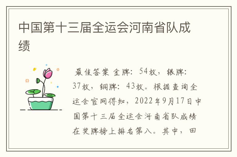 中国第十三届全运会河南省队成绩
