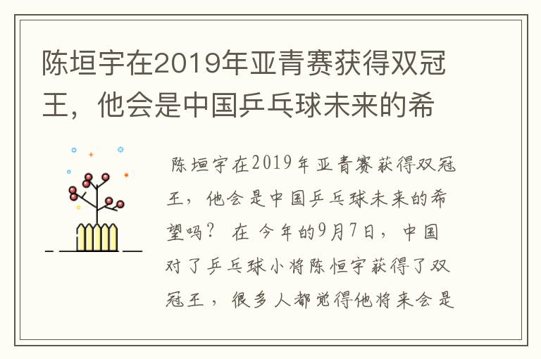 陈垣宇在2019年亚青赛获得双冠王，他会是中国乒乓球未来的希望吗？