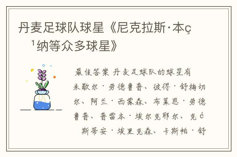 丹麦足球队球星《尼克拉斯·本特纳等众多球星》