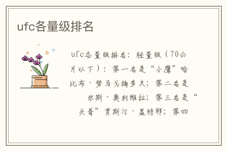 ufc各量级排名
