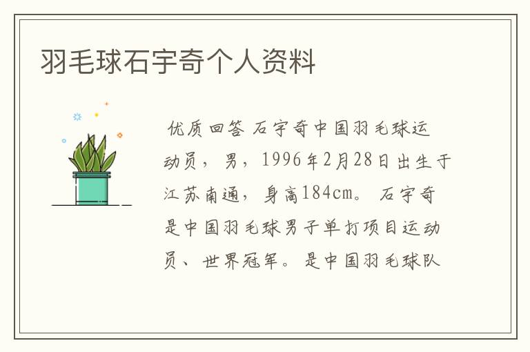 羽毛球石宇奇个人资料