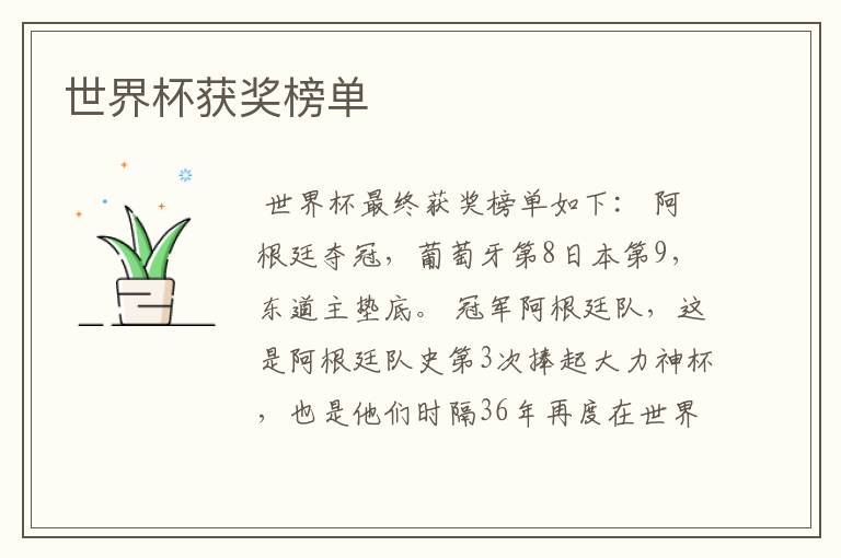 世界杯获奖榜单