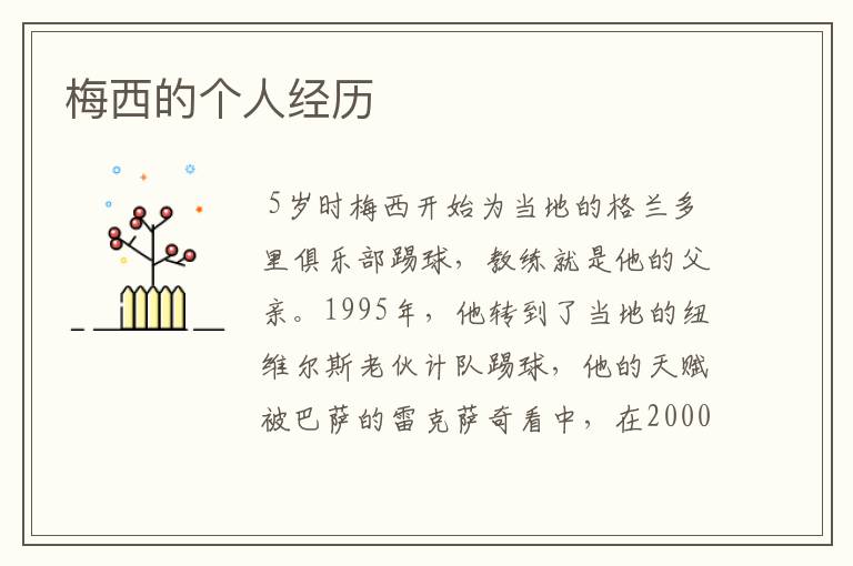 梅西的个人经历