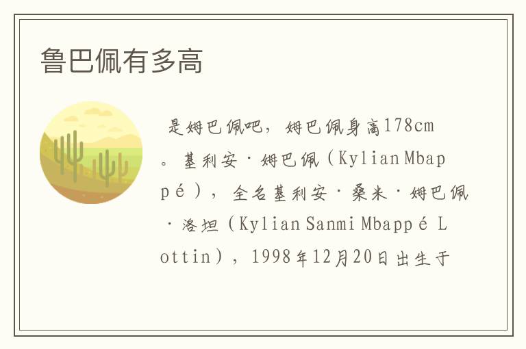 鲁巴佩有多高