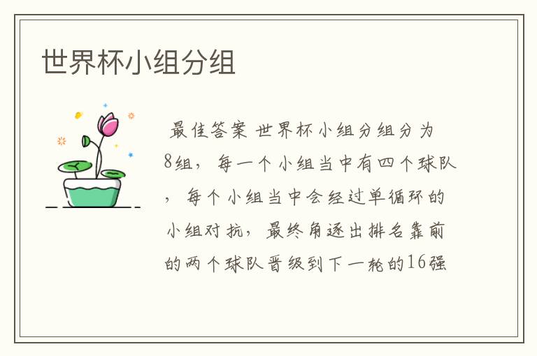 世界杯小组分组