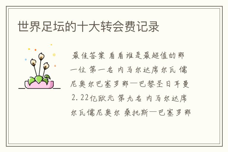 世界足坛的十大转会费记录