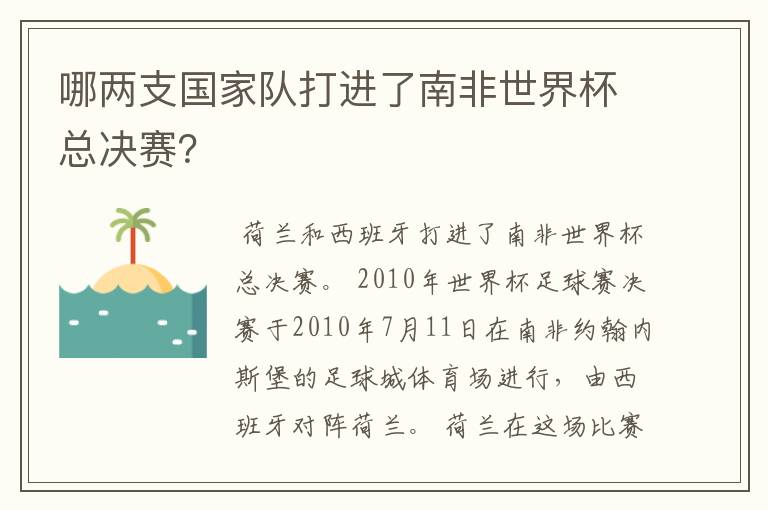 哪两支国家队打进了南非世界杯总决赛?