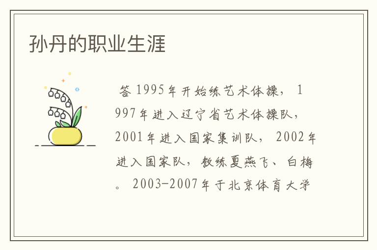 孙丹的职业生涯