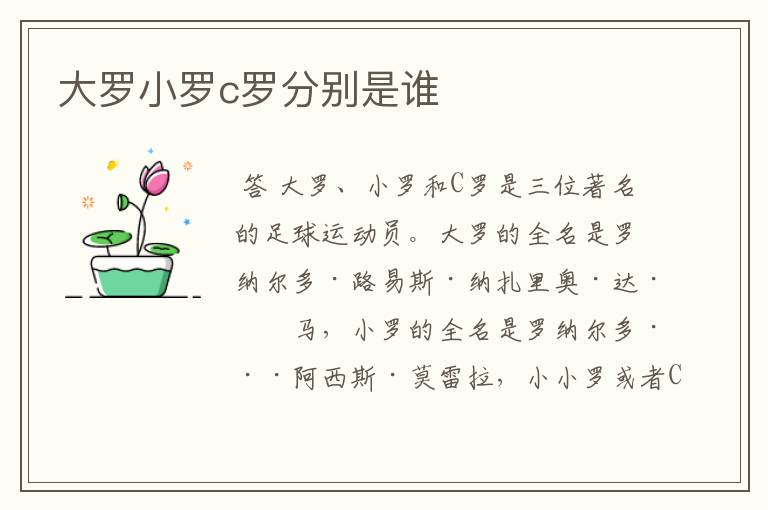 大罗小罗c罗分别是谁