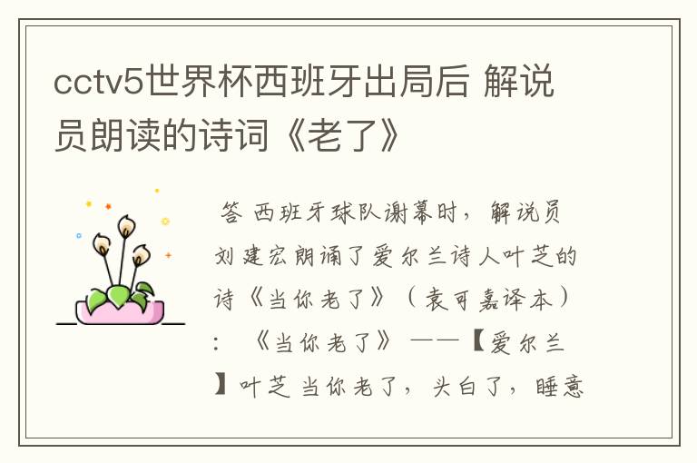 cctv5世界杯西班牙出局后 解说员朗读的诗词《老了》