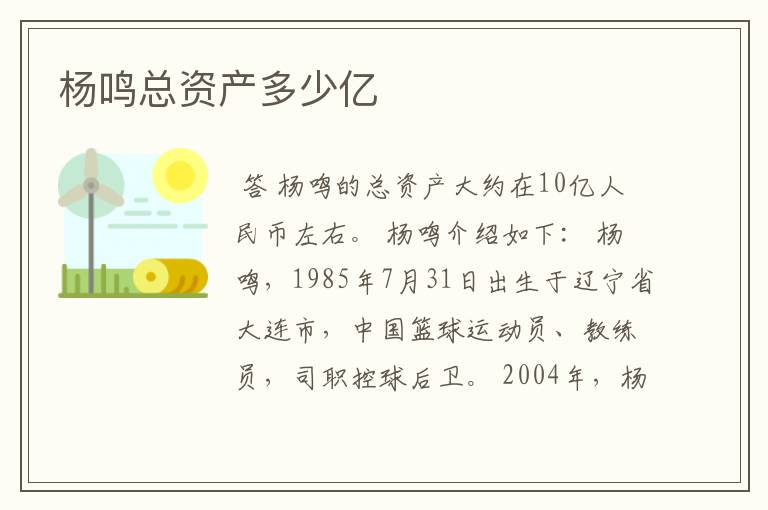 杨鸣总资产多少亿