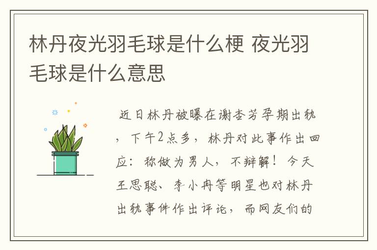 林丹夜光羽毛球是什么梗 夜光羽毛球是什么意思